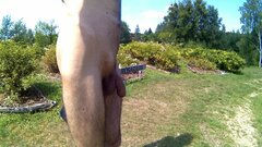 RADZIONKÓW - Ogród Botaniczny (cz1) 20240726_1311.mp4_snapshot