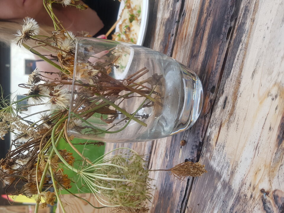 20240725_182222.jpg - TransKitty