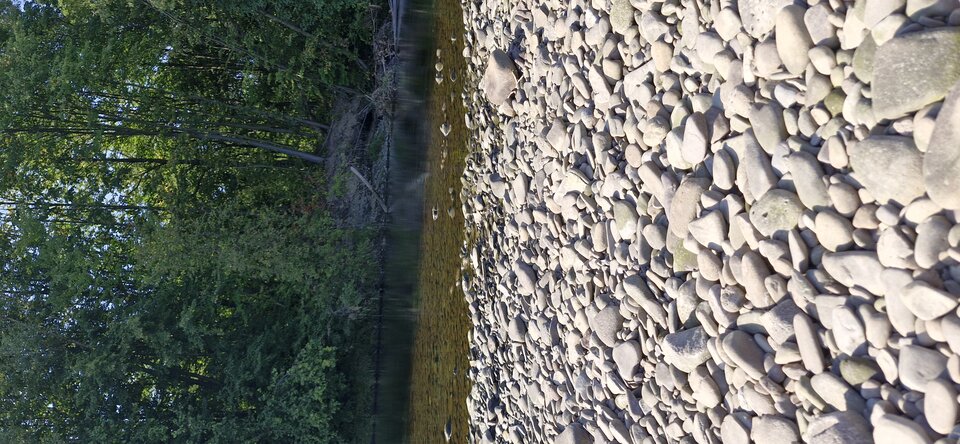 17220049099413251861082874211750.jpg - Plenerek200