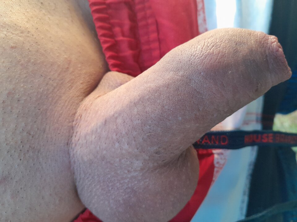 17220531585405224147315053381689.jpg - kutasek36lat