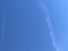 IMG_2104.jpg