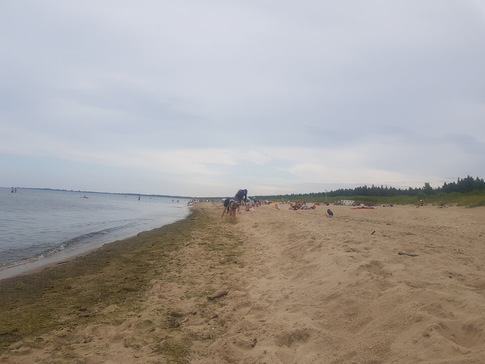 20240727_114046.jpg - TransKitty