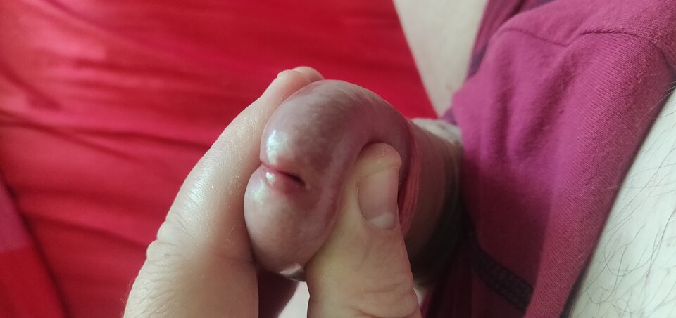 IMG_20240727_122532.jpg - fajnykutasek25