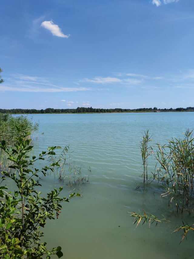 MyzGalicji