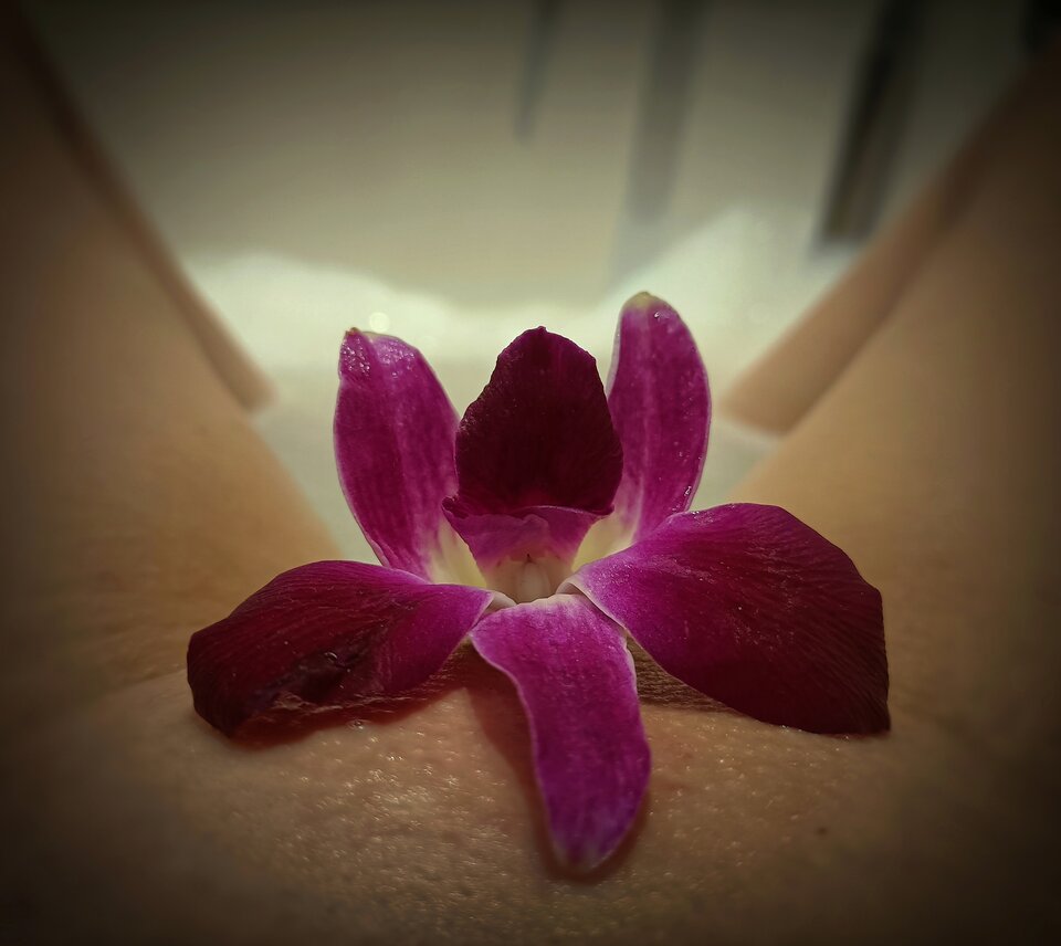 IMG_20240727_190307.jpg - LadyAgnesvpsina