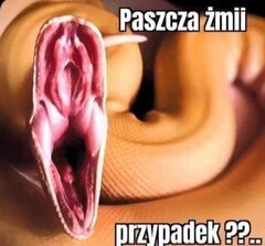 A to żmija 😄😄😄