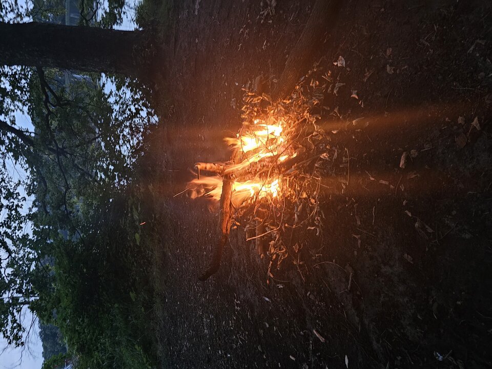 1000014664.jpg - mwloc