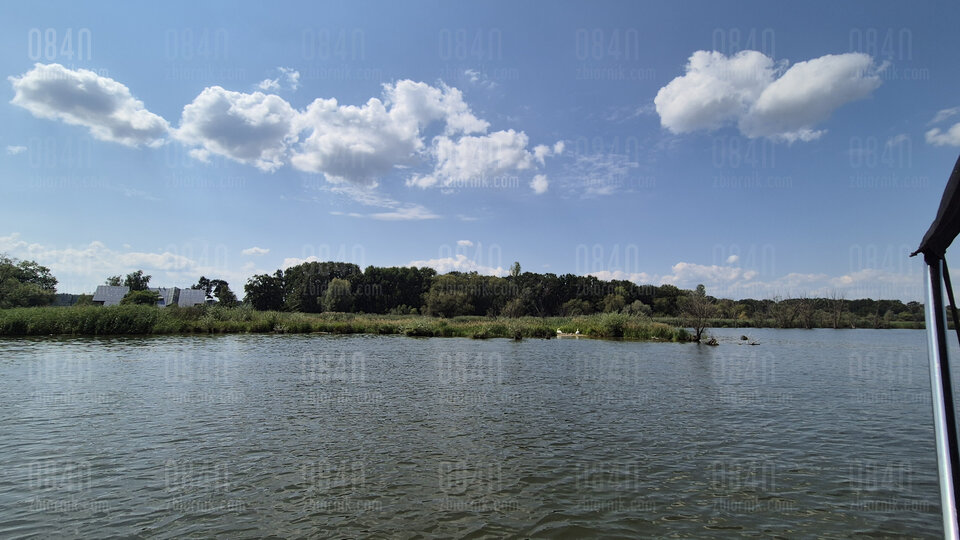 1000003847.jpg - o84n