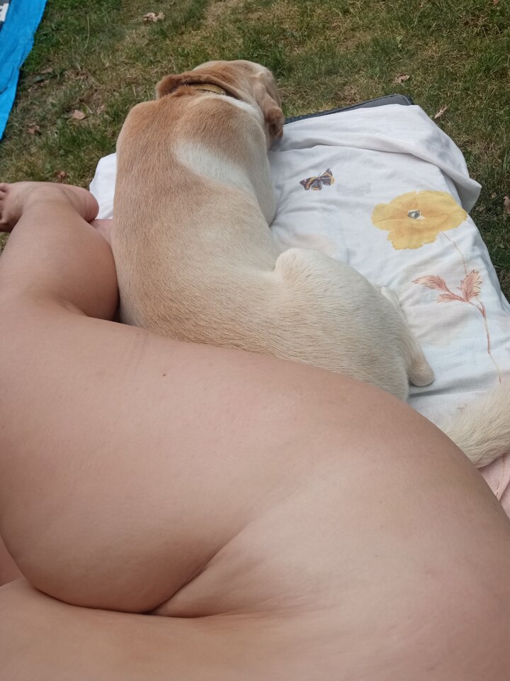 Grzeczny piesek ☺️ - Smieszka80