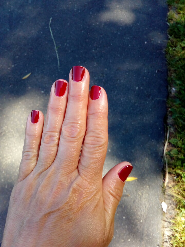 IMG_20200806_122028.jpg - AnnaDojrzalaNaturalnaE