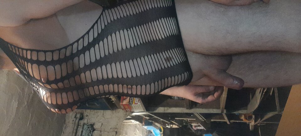 20240402_175902.jpg - Tygrys4040