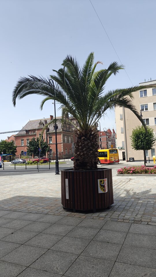 1000009742.jpg - figo890