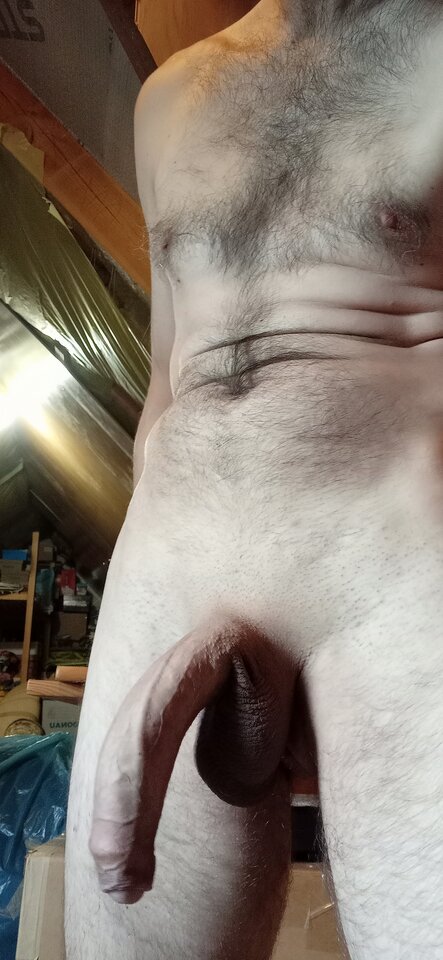 IMG_20240703_150242.jpg - 12Bartek12