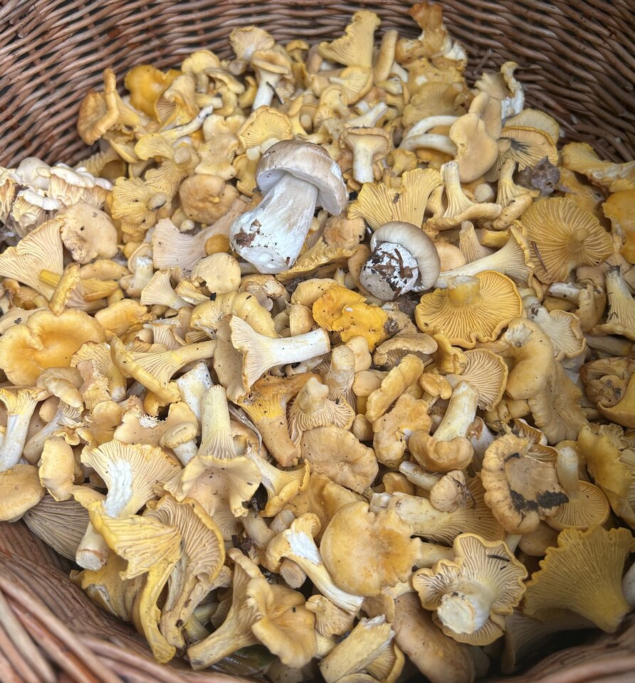 IMG_3648.jpeg - NaturystaXXX