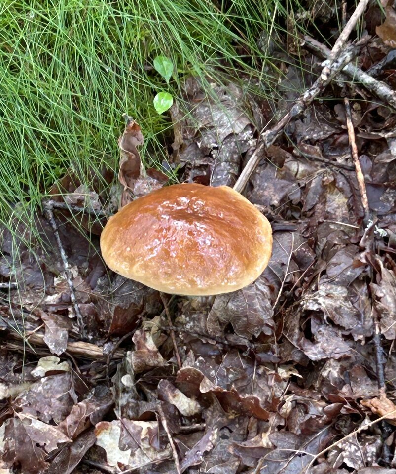 IMG_3659.jpeg - NaturystaXXX