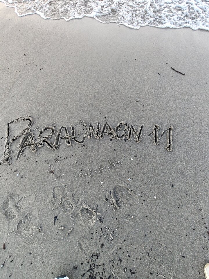 1000012751.jpg - paraonaon11