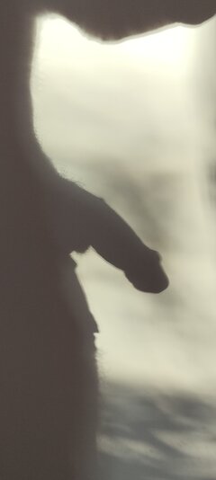 IMG20240729061058.jpg