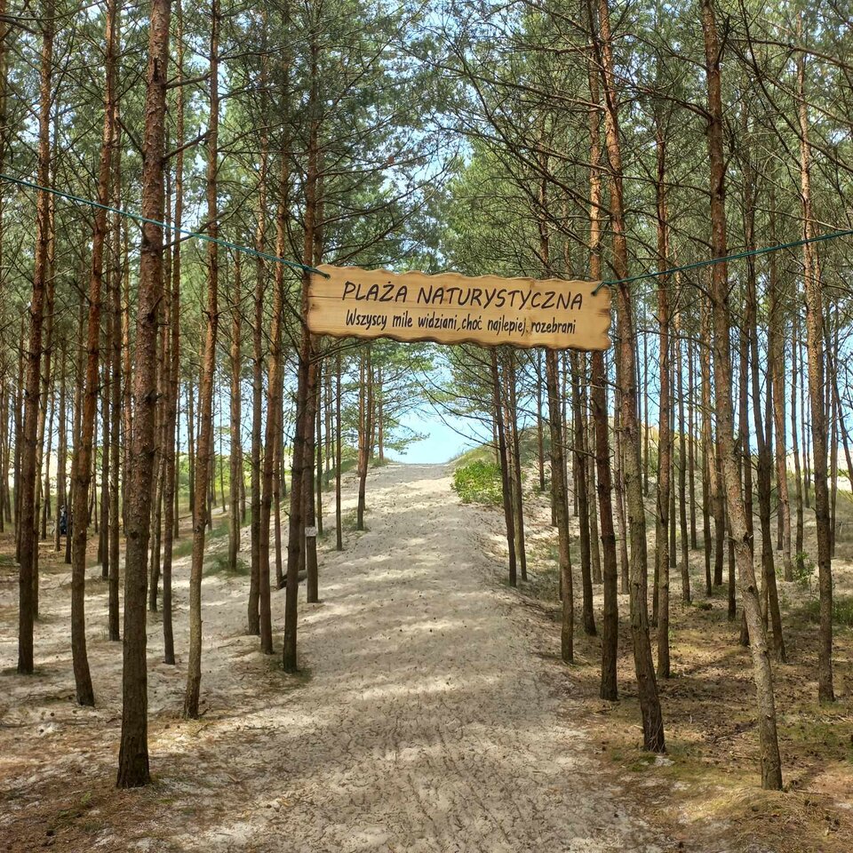 received_512269174581497.jpeg - Para919224