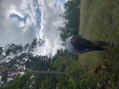 Bucik się rozwiązał