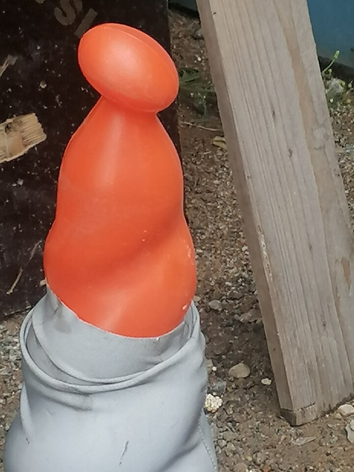 IMG_20240729_170729.jpg - martire