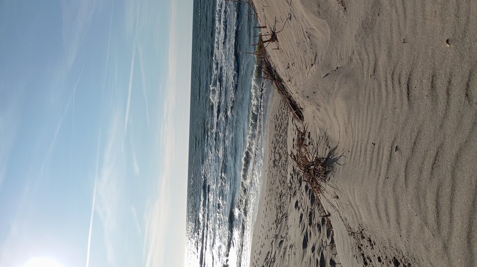 1000008795.jpg - Passion88