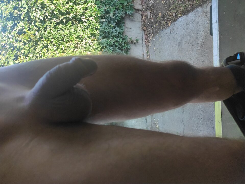 IMG_20240729_063359.jpg - Adamadam1978