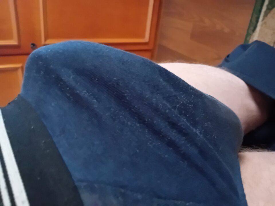 1000003637.jpg - brus13