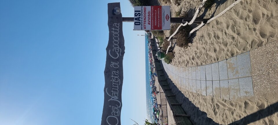 20240728_165541.jpg - magia49