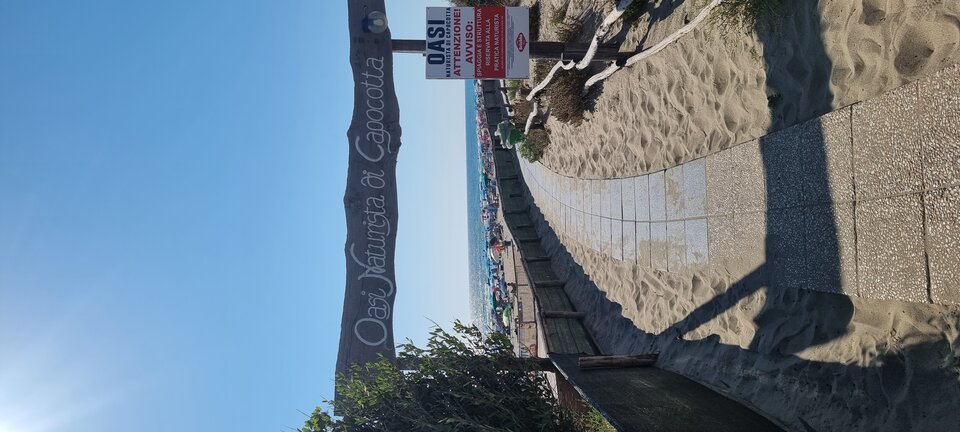 20240728_165547.jpg - magia49