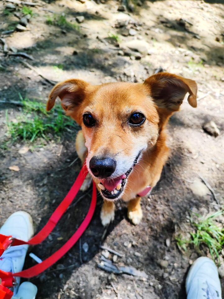 1000006402.jpg - Nieznajomy1001