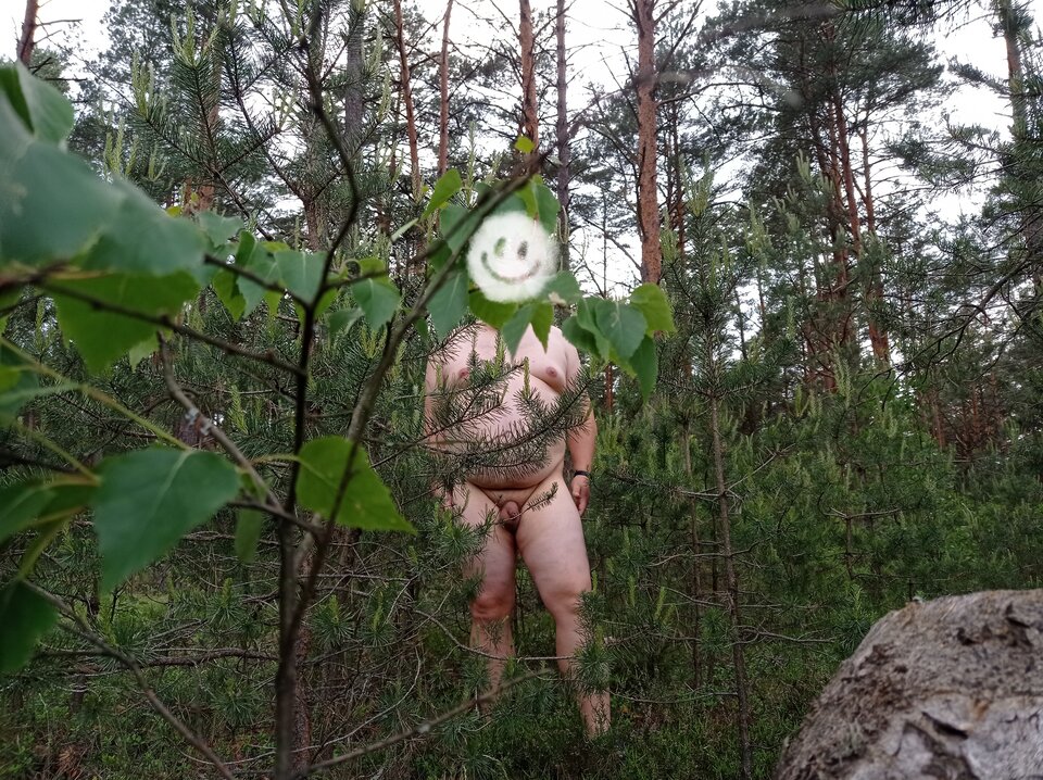 1000043135.jpg - 1983marcello