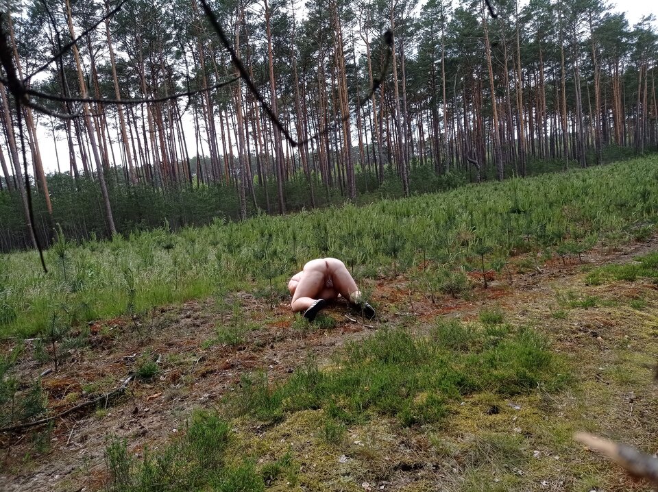 1000043125.jpg - 1983marcello