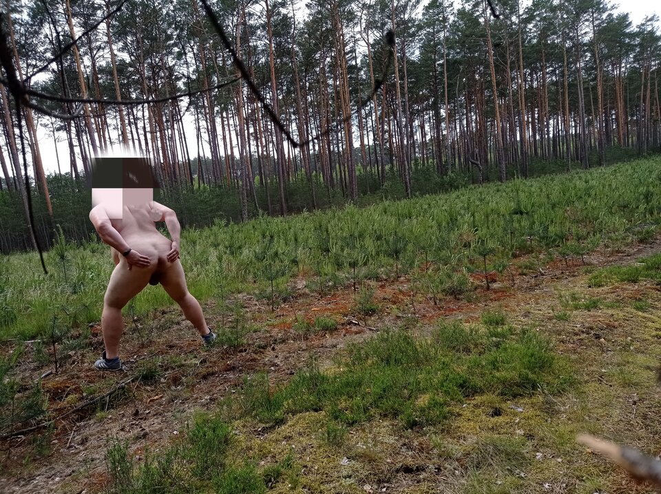 1000043144.jpg - 1983marcello