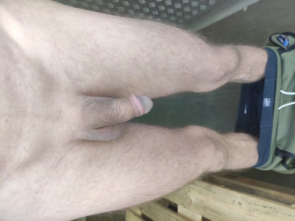 IMG_20240730_063927.jpg - Adamadam1978