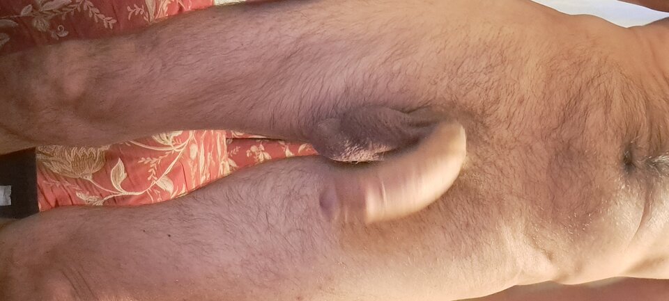 1000020363.jpg - 12Bartek12