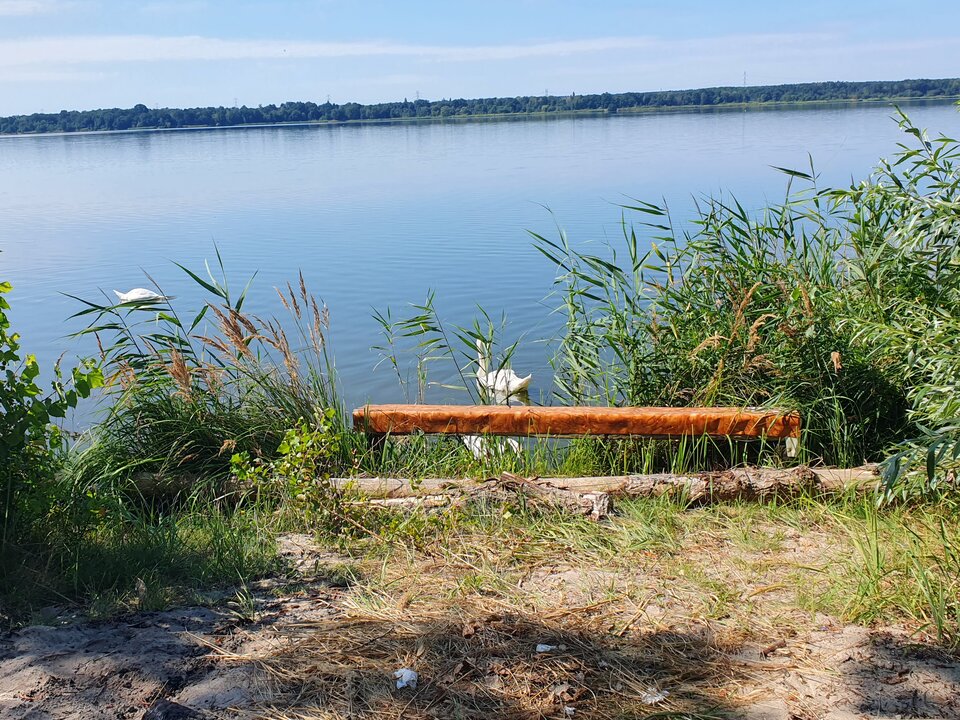 20240731_102009.jpg - Fenikshot