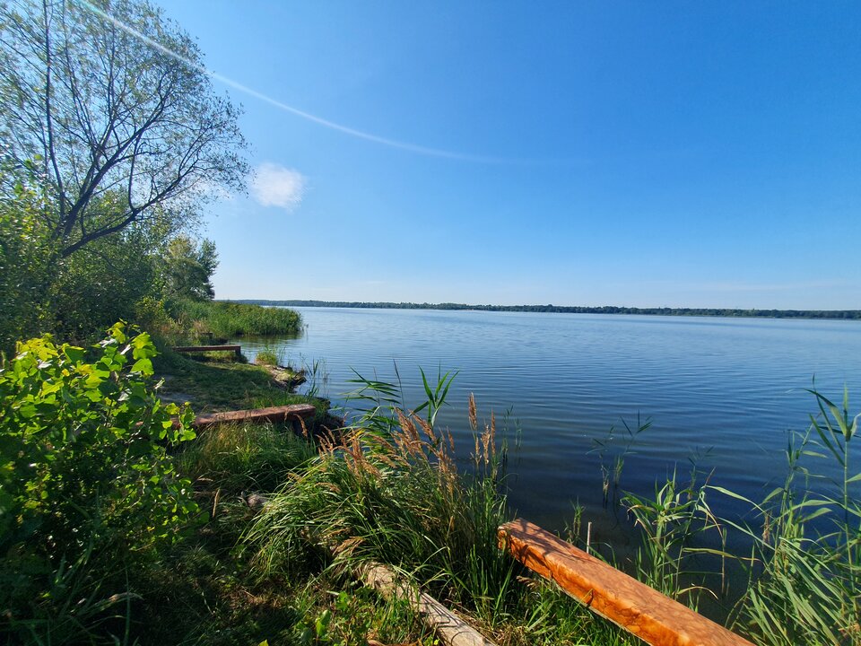 20240731_090002.jpg - Fenikshot