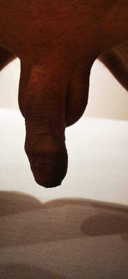 IMG_20240731_143811.jpg - Pan679