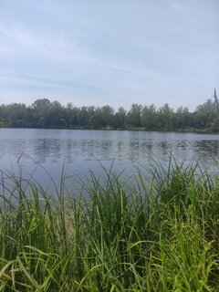 IMG_20240731_130233.jpg