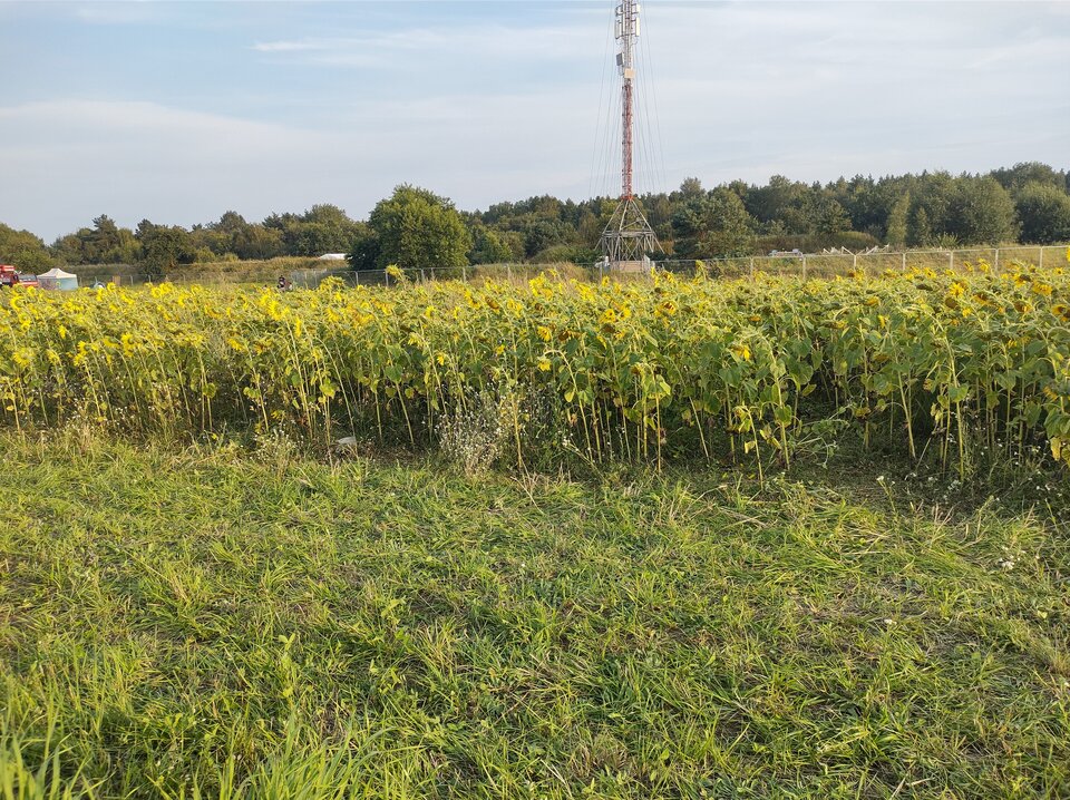 IMG_20240731_192856645_HDR.jpg - Honey1970