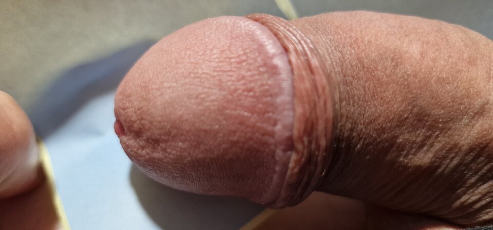 1722480771575299370696089056806.jpg - robin266