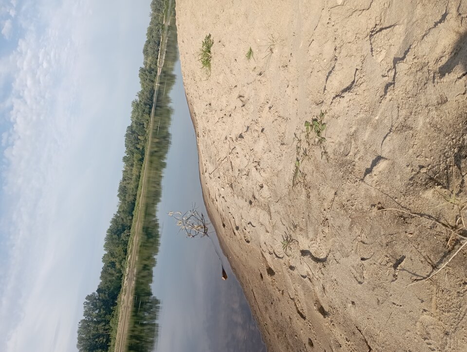 17224892653018880034526929760770.jpg - Kojot37