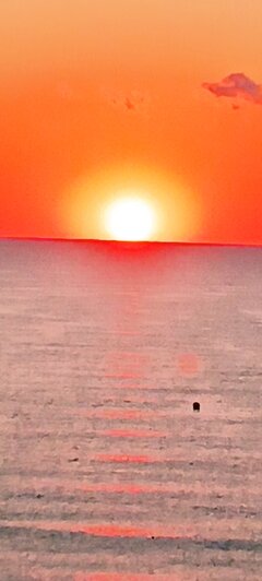 IMG_20240801_060520.jpg