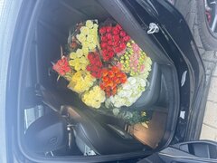 IMG_9263.jpeg