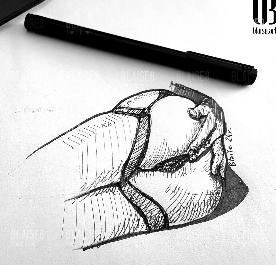 Art. No. 291 - blaise8