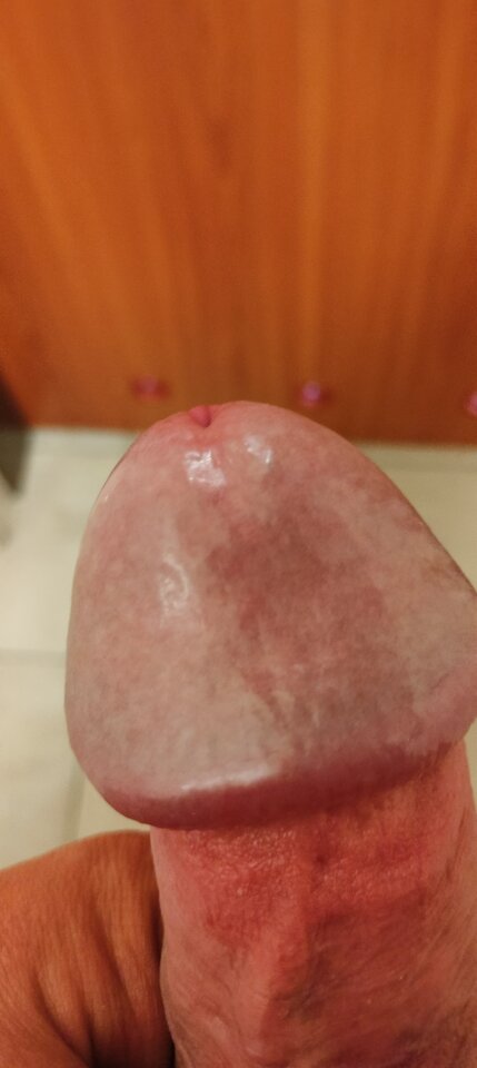 1000020070.jpg - szatan24