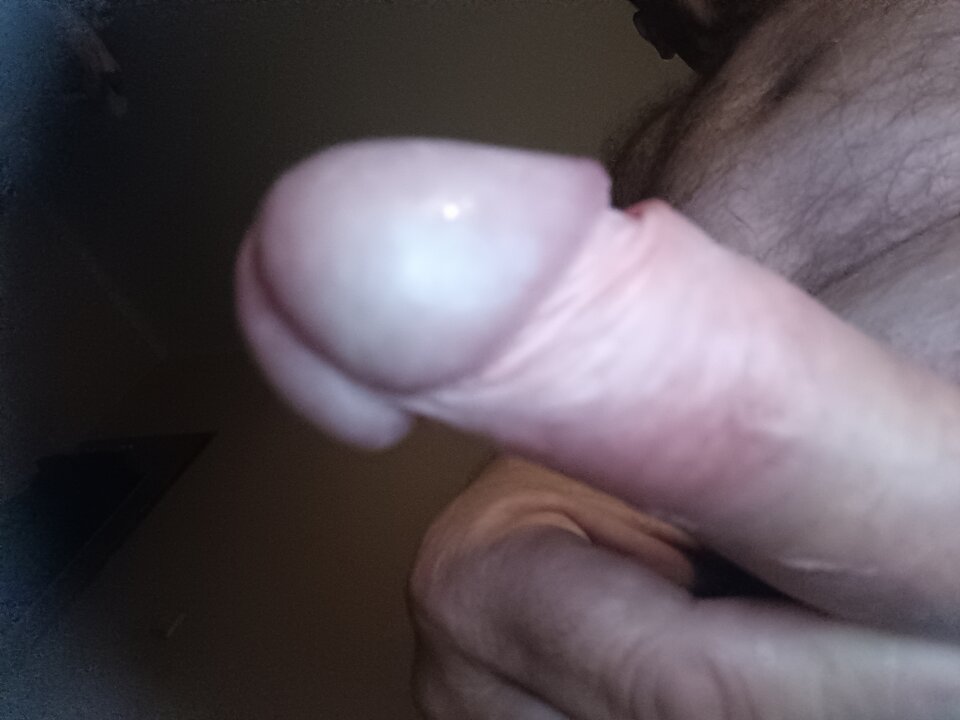 17225658837125298419773050127378.jpg - ardas1