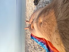 IMG_20240802_082232.jpg