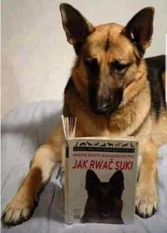 Edukacja, edukacja, edukacja