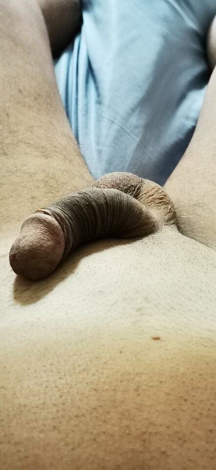 IMG_20240802_152107.jpg - Pan679